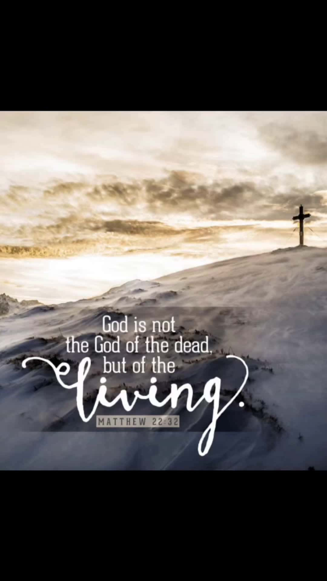 Cover for Alive in Christ