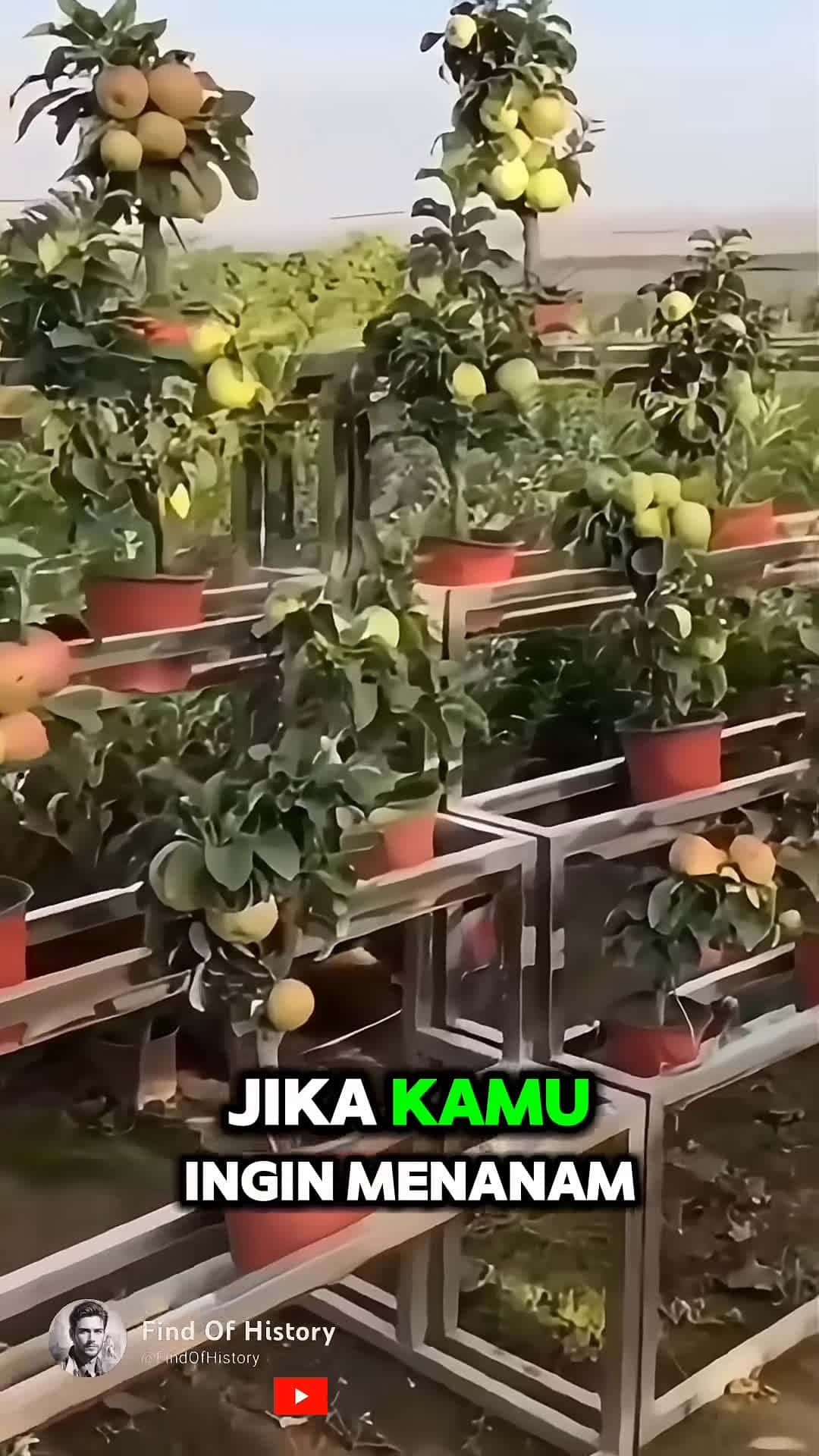 Cover for Unbelievable How To Grow Apple Fruit Part 01 shorts short unique