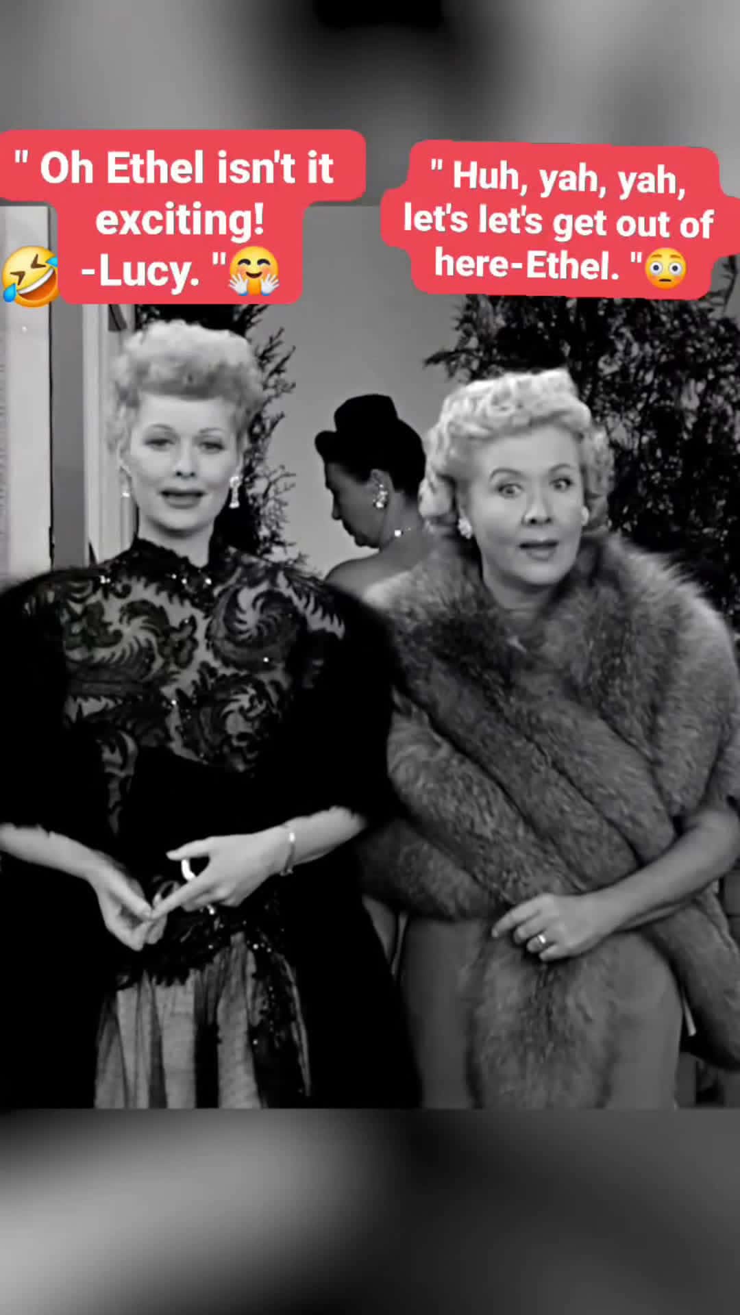 Cover for " When Lucy and Ethel went to the casino and Lucy accidentally won ! 🤣#ilovelucy #lucy #movieclips #clips #reels #comedy #comedyreels 