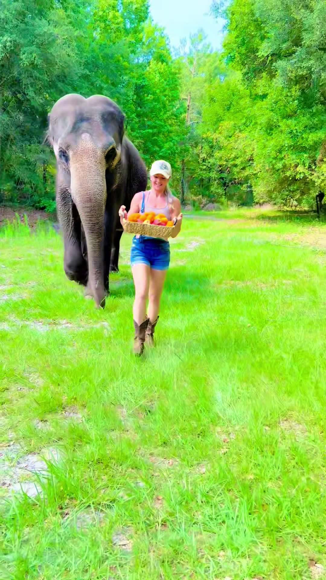 Cover for #elephant #animal #MyBestFriendIsAnElephant #SaveTheSpecies #MultiSpe...
