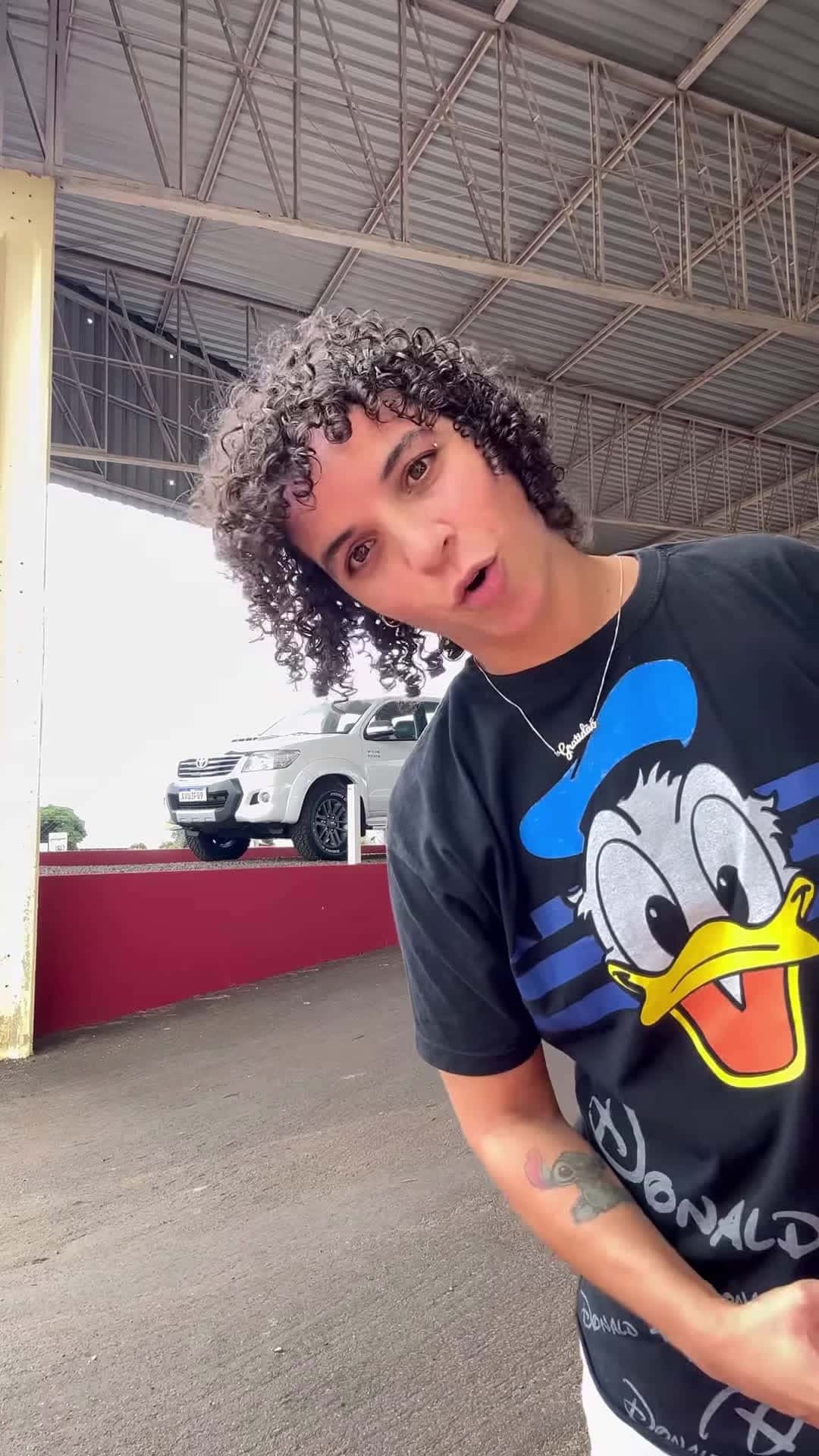 Cover for Nunca desista dos seus sonhos!