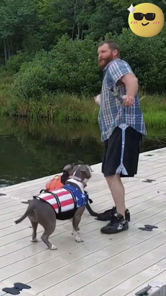 Cover for Dogwithoutbrakes dog funny funnyanimals funnypets animals dogsofttiktok pet foryou longerv 88767 #ilovescoopz