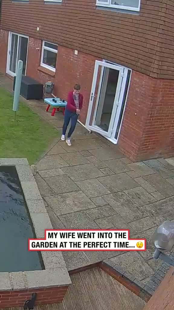 Cover for How did that even happen
