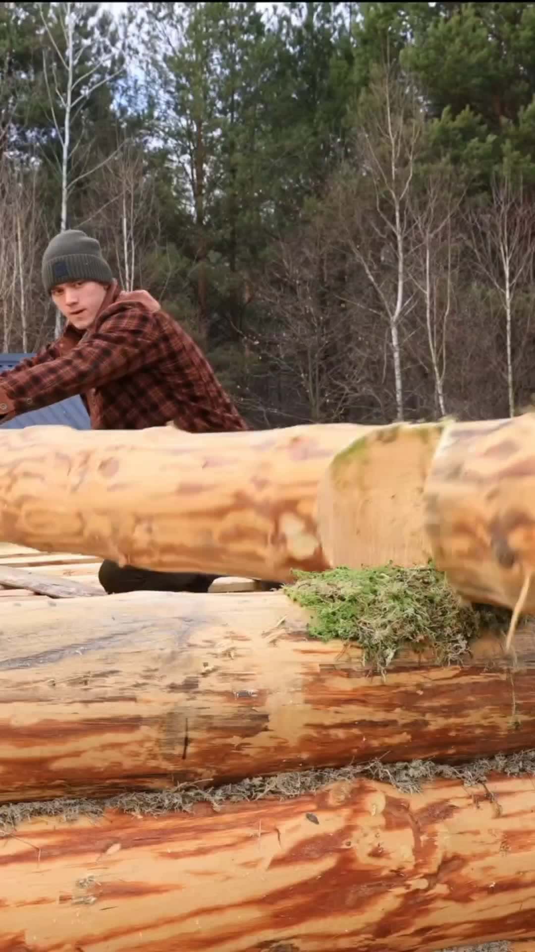 Cover for Building a Log Cabin Alone part 2In a whole year of construction, I managed to build the walls and the basement for storing food completely. I worked every day, no matter the weather, hot or cold. And I am happy that 