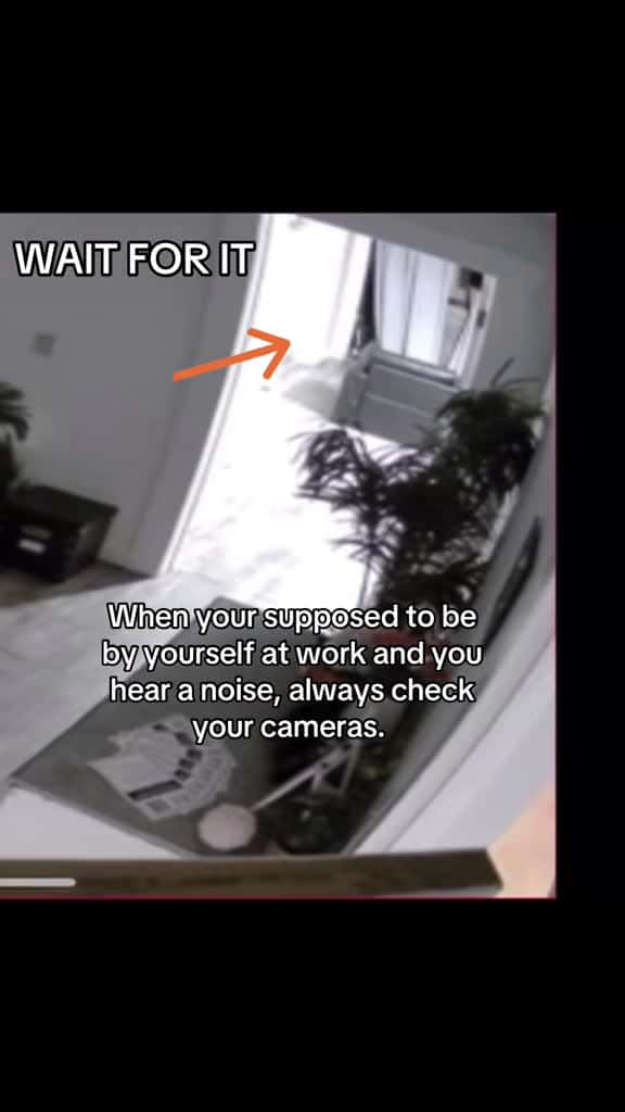 Cover for Part 1 #creepy #foryou #viral #trending