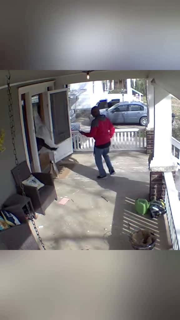 Cover for Delivery Staffs Got Scared by Dogs And Cats  funny fail fails gonewrong trynottol 45566 #trending