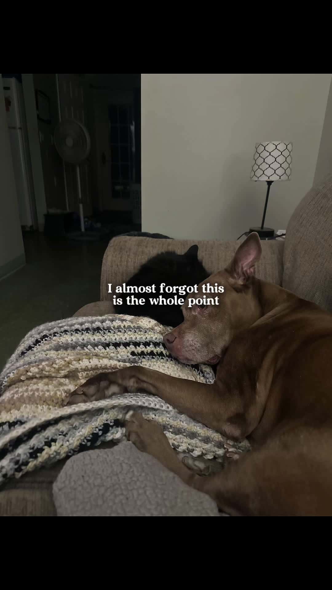 Cover for I miss my baby so much