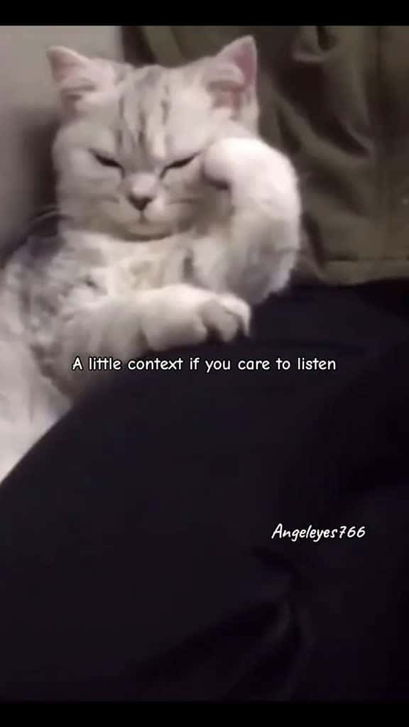 Cover for Escapism unofficial  lyrics editing cutecats fyp foryou creatorsearchinsights 10898 #trendingscoopz
