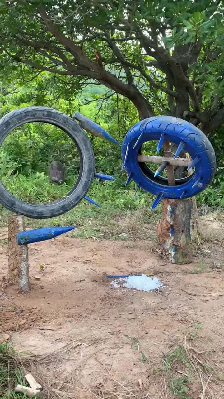 Cover for Build Unique Primitive Wild boar Trapping Tool Using Wood #wildboar  #wildpig #pigtrap #wildboartrap #pig #trap