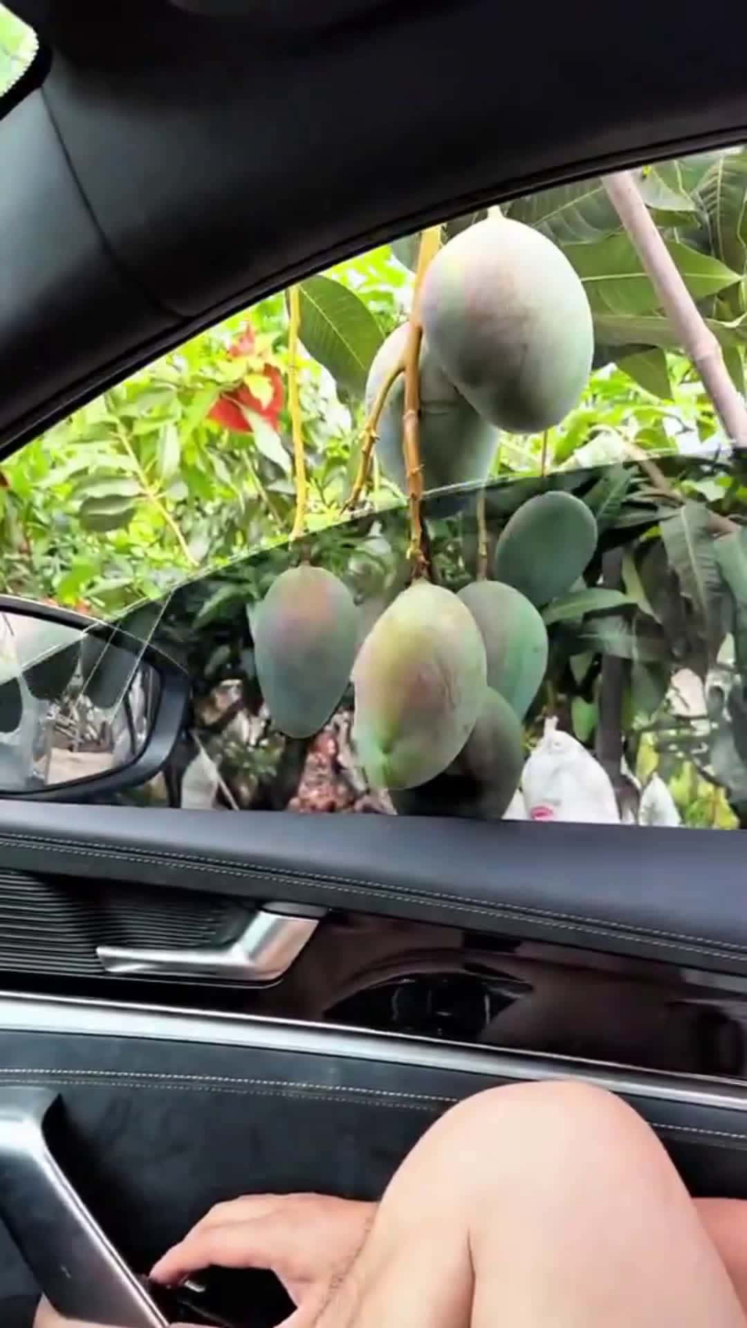 Cover for #exoticfoodie The true meaning of WINDOW SHOPPING