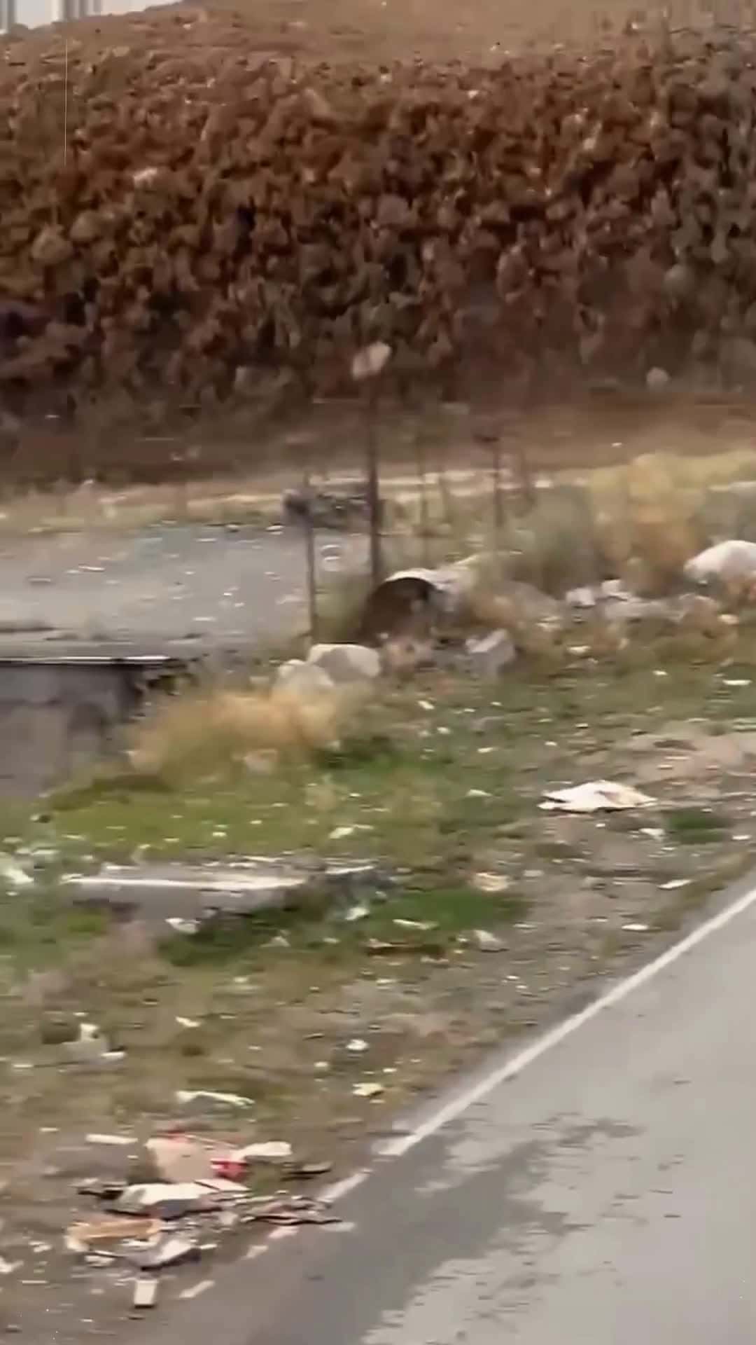 Cover for Flash floods#flood #weather #oddlysatisfying #satisfying 