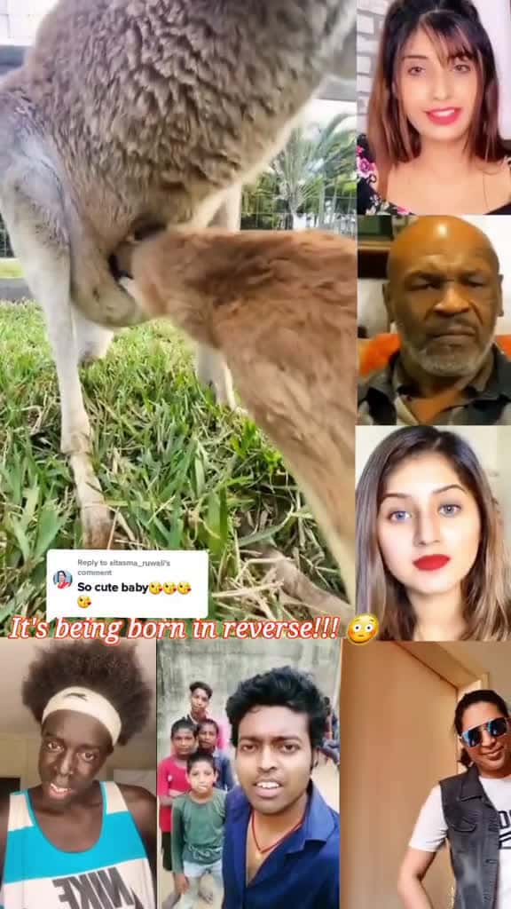Cover for Reply to sitasma ruwali watching everyone guys reaction viral video foryoupage kr 81189 #trendingscoopz