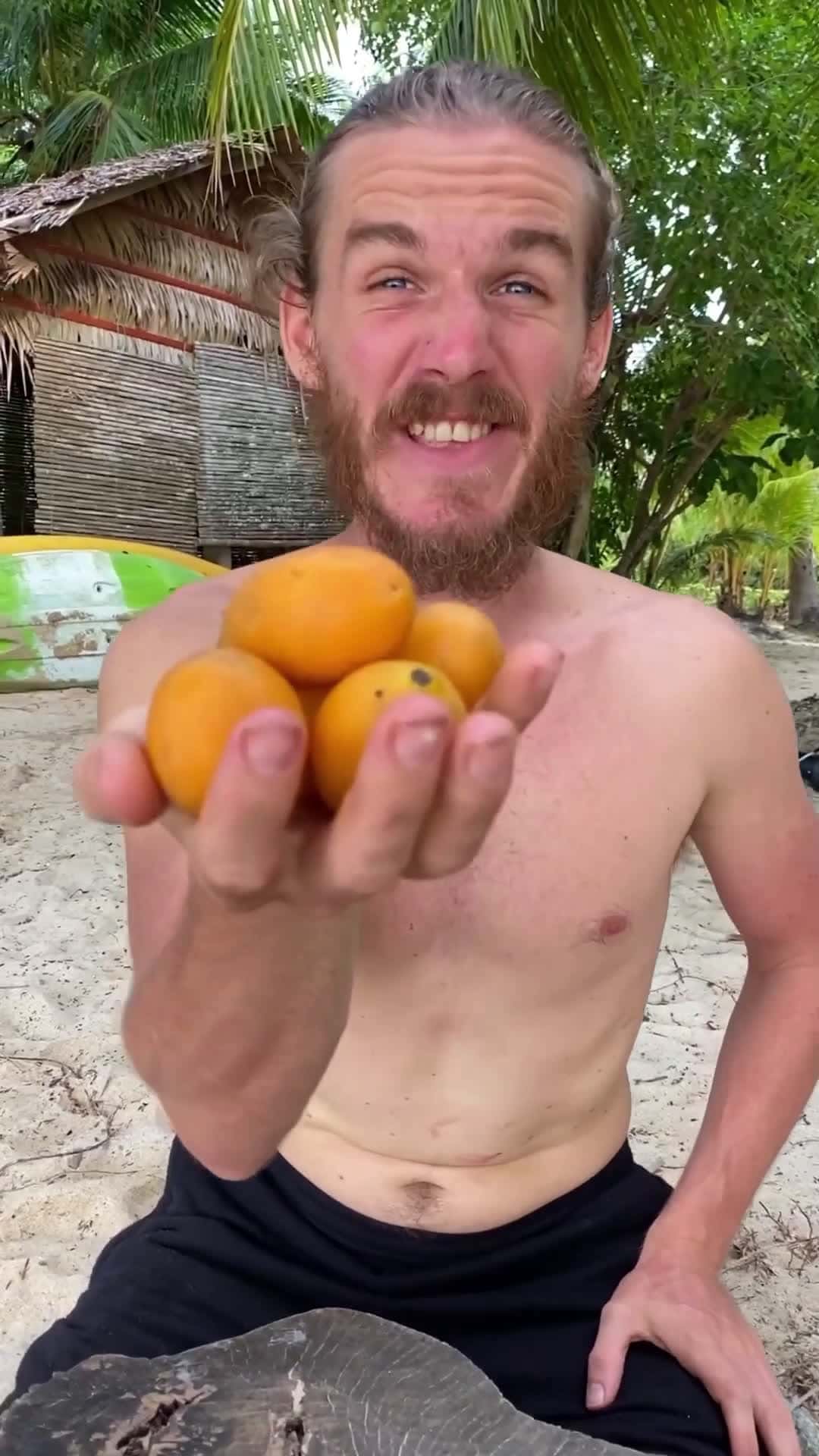 Cover for This Fruit Has Magical Powers