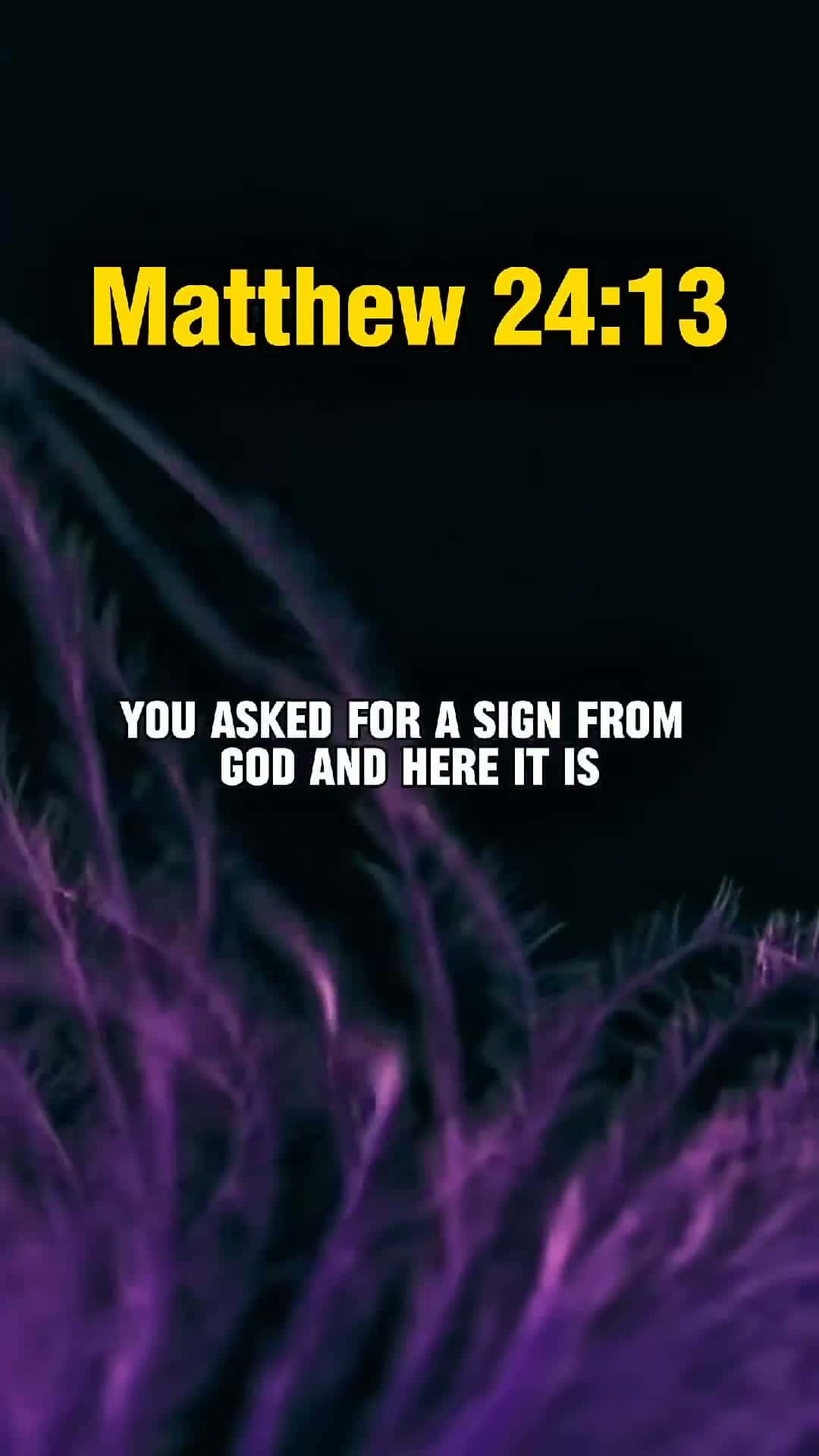 Cover for Matthew 24:13 #metthew #godsmessage #jesuslovesyou #bibleprayers #bibleverses #foru #fypシ 