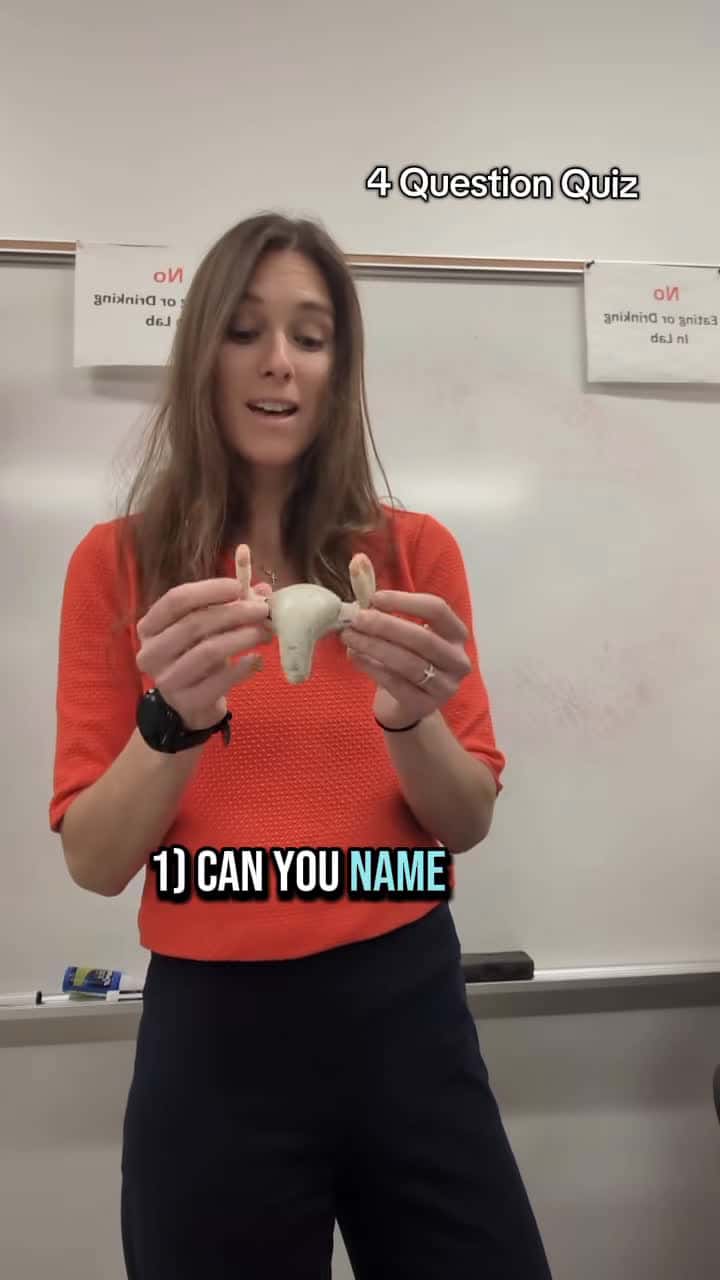 Cover for #anatomy #educationalpurposes #memoryunlocked #education #edutok #educational #anatomyandphysiology #learning #learnontiktok #student #quiz #quiztime #reproductiveorgans #learnontiktok