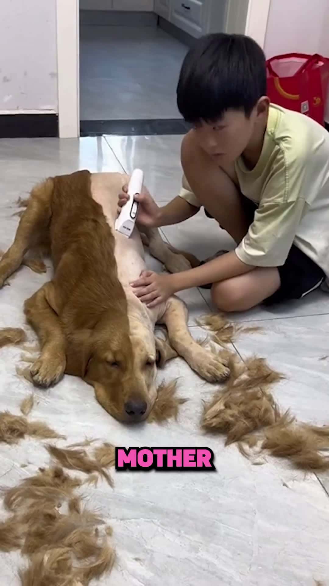 Cover for This Genius Surprised His Mother