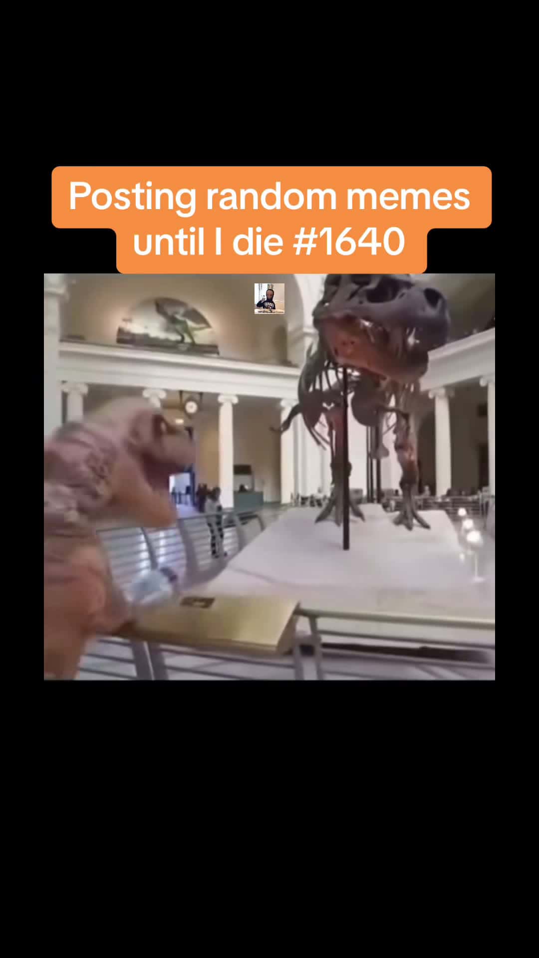 Cover for #fypシ #memes #viral #foryoupage #dinosaur