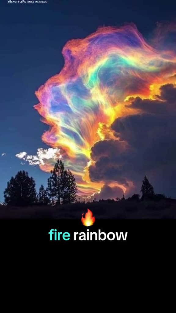 Cover for creatorsearchinsights BeautifulPictures rainbows 19678 #american