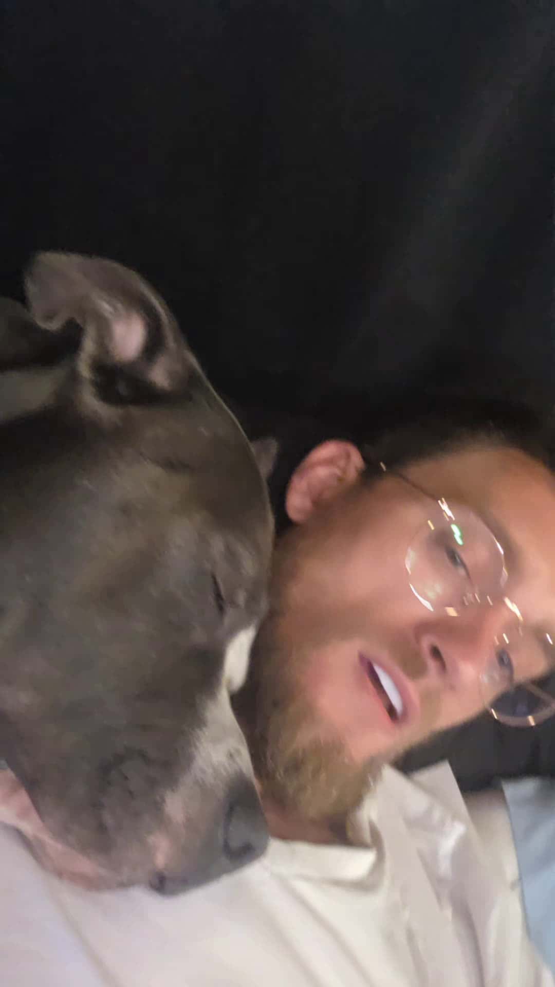 Cover for puppys