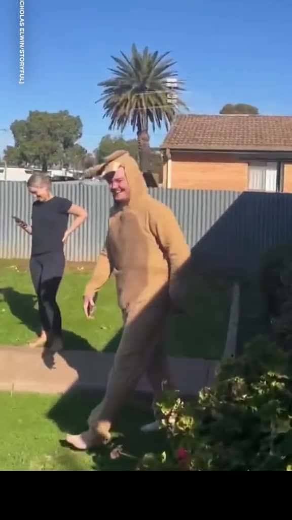 Cover for funny 39054 #shortvideos