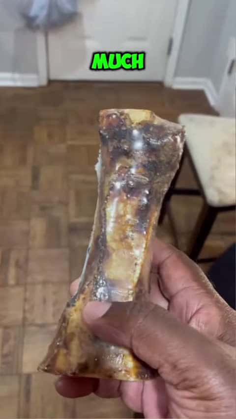 Cover for Under $10 For This Huge Bone Can You Believe It？ #dogdad #shortsfeed_112 (2)