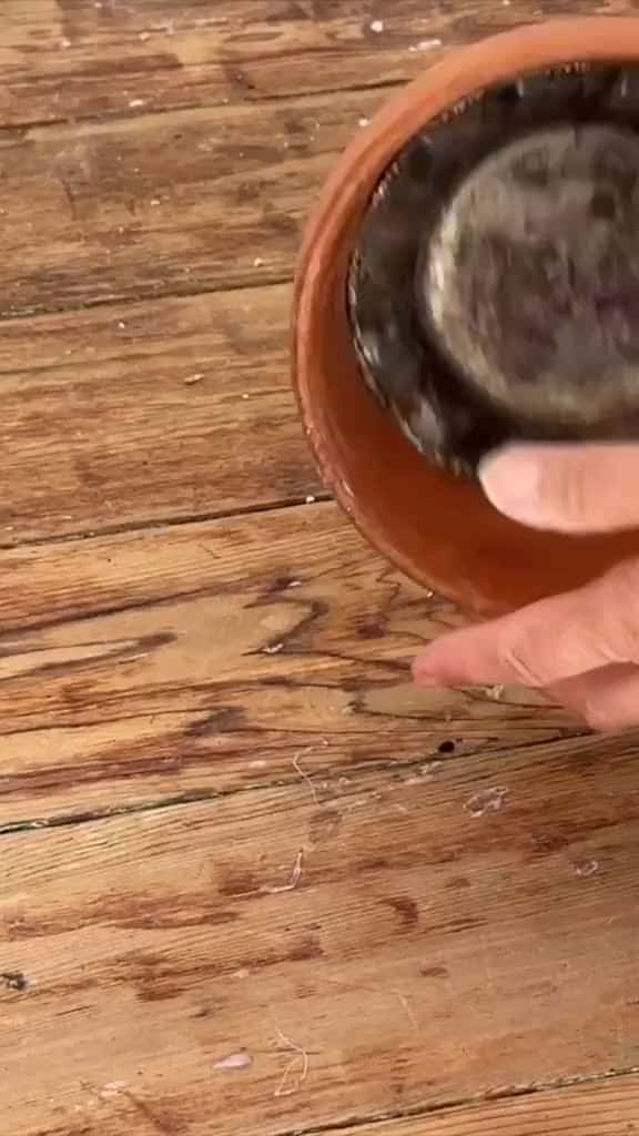 Cover for Grab terracotta pots for this GENIUS garden hack! 😍🍄 #DIYHacks #EasyDIY #DIY #FallDIY #homedecor #DollarTree #hacks #diyproject #upcycling #kitchenDIY created by hometalk with hometalk’s original sound - hometalk