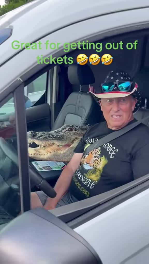 Cover for When you’re a gator, speeding tickets don’t exist! 🐊 #GatorLife #FloridaMan #Everglades #SwampLife