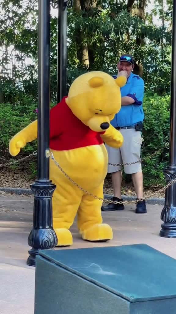Cover for What are you doing Winnie funnymoments disneyland foruyou funnyvid 50239 #followMe