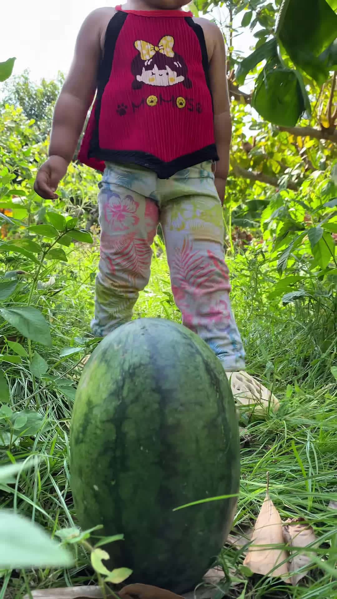 Cover for Survival Skills: MOM and Baby SMART idea and USEFUL #tiktok #idea #bushcraft #useful #camping #survival