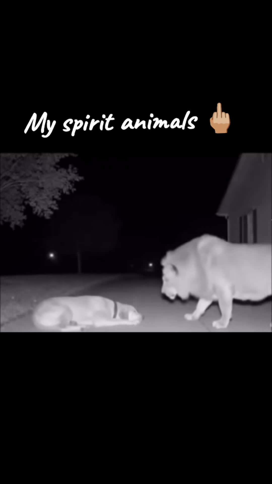Cover for #caughtoncamera  #ai  #funny  #funnyvideos  #fyp  #fypシ゚viral  #fypシ 