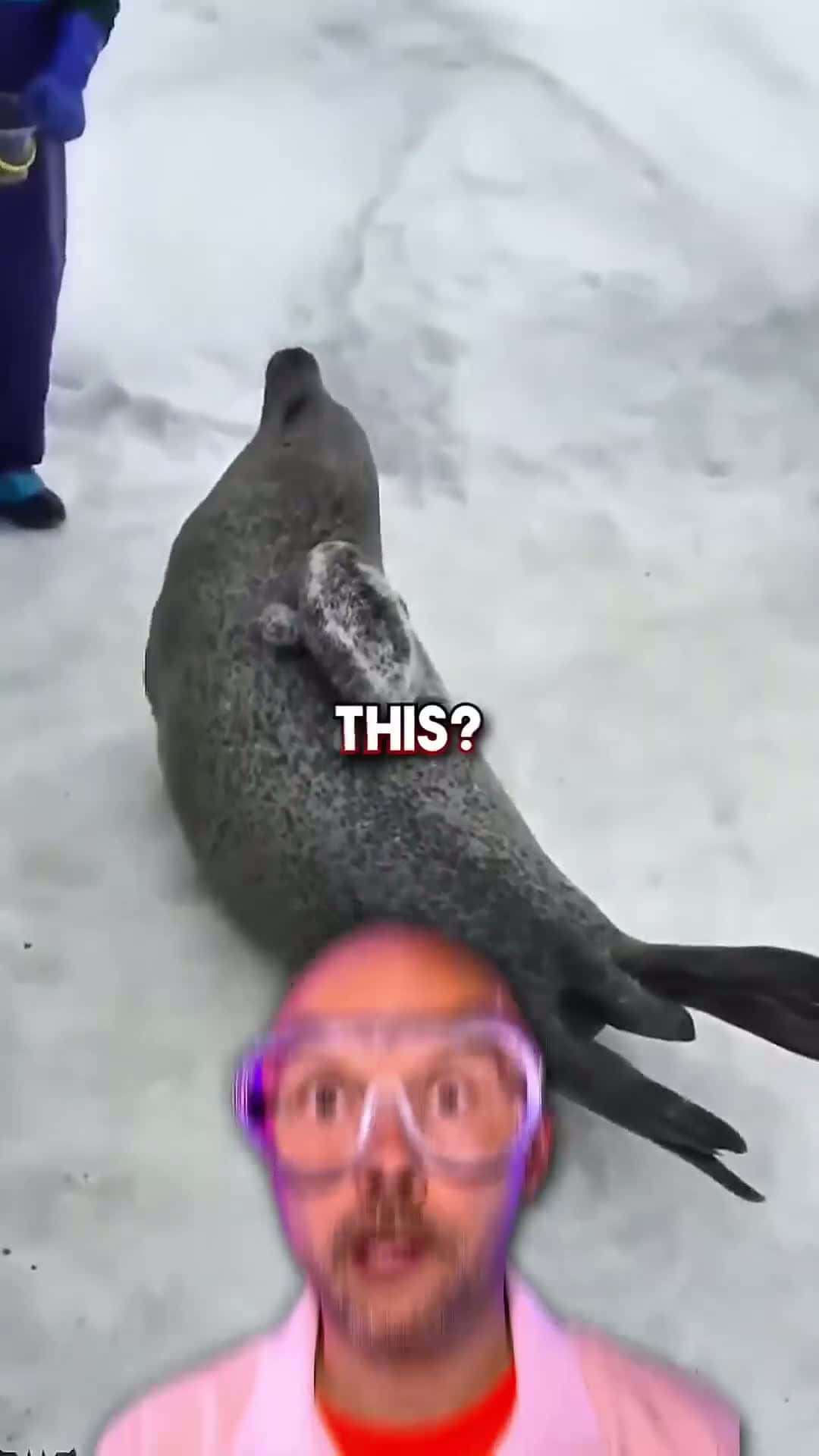 Cover for Seals