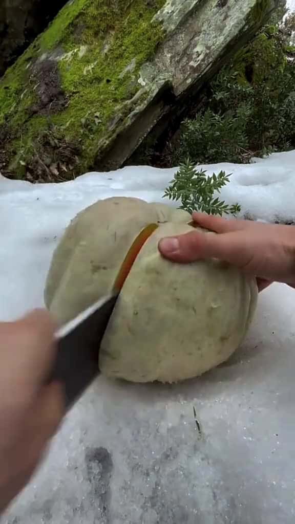 Cover for Steak on a high snowy mountain leon cooking outdoor cooking nature asmr 24747 #american