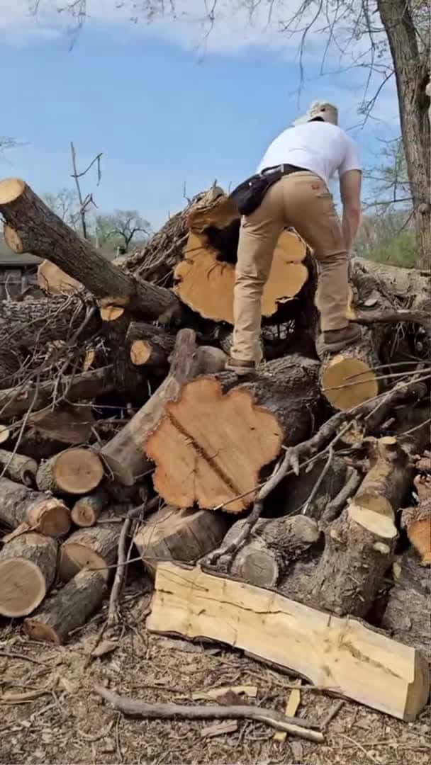Cover for Where we get our wood. #log #wood #woodworking #carving #maker #spoon #urban #arborist #trees_036 (2)