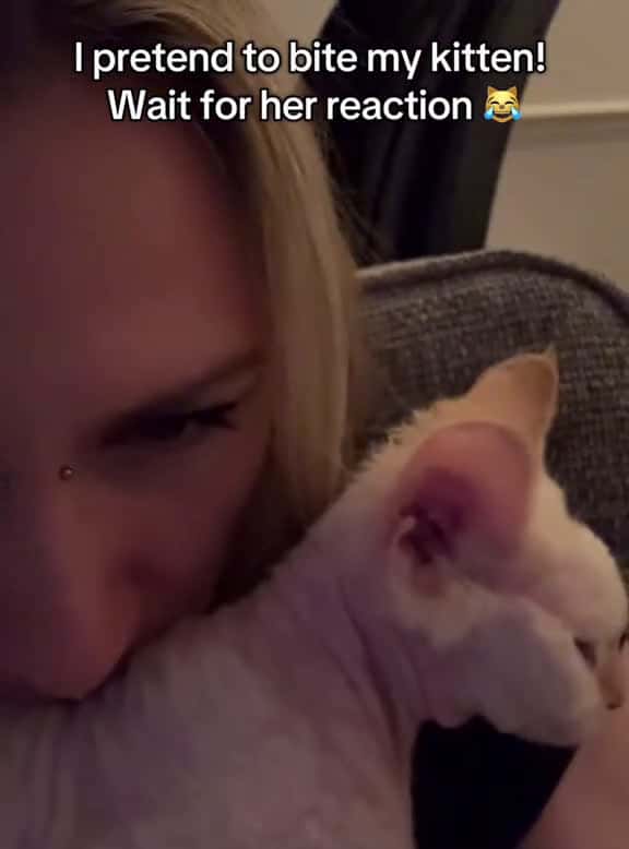Cover for My cat seems to dislike me #cat #funnyvideo #catsoftiktok #fyp #pet