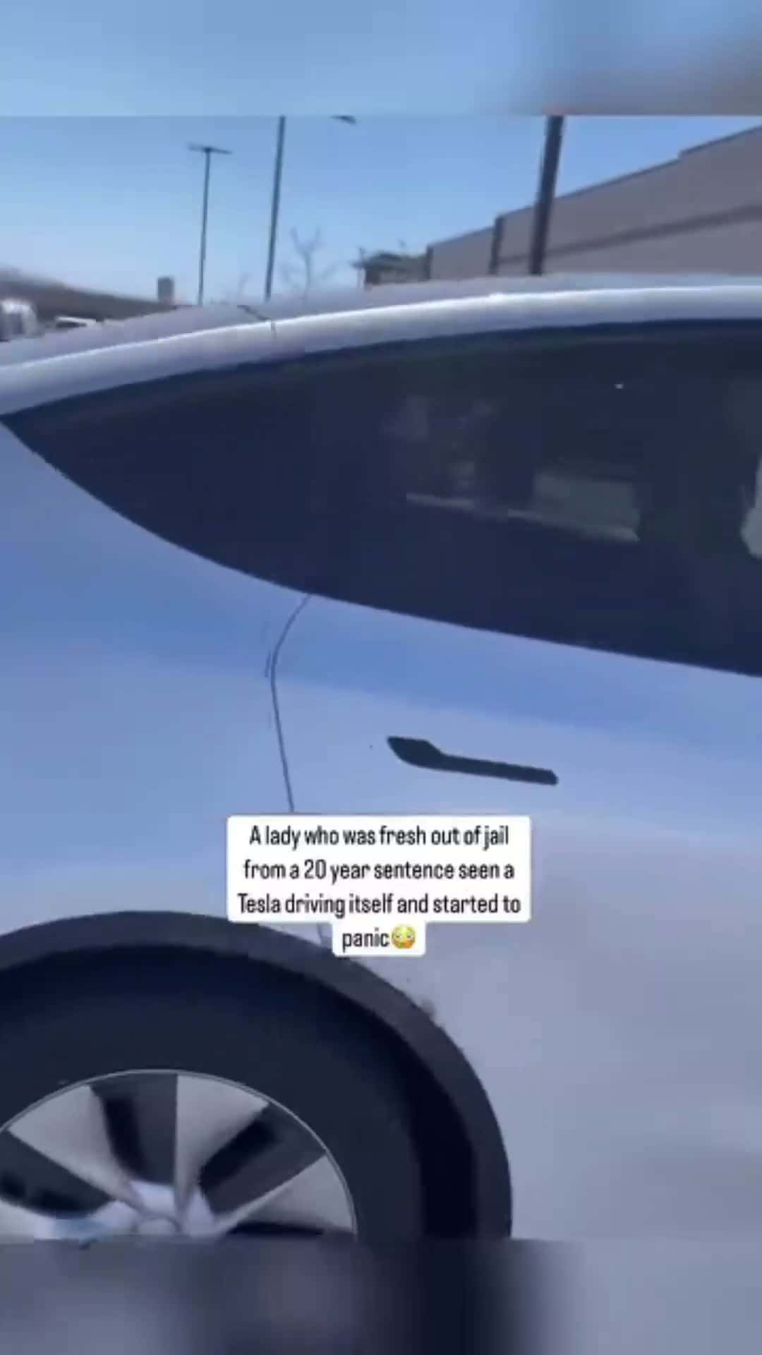 Cover for Her first time seeing a tesla drive itself.