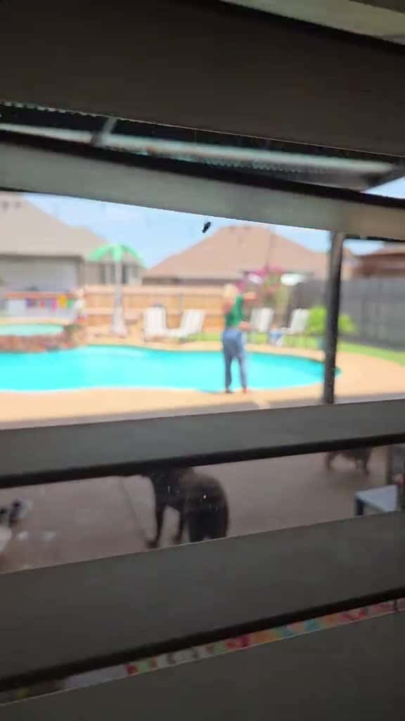 Cover for Love dadsoftiktok follow wife pool Summer Lesli Davis-Price 69118 #america