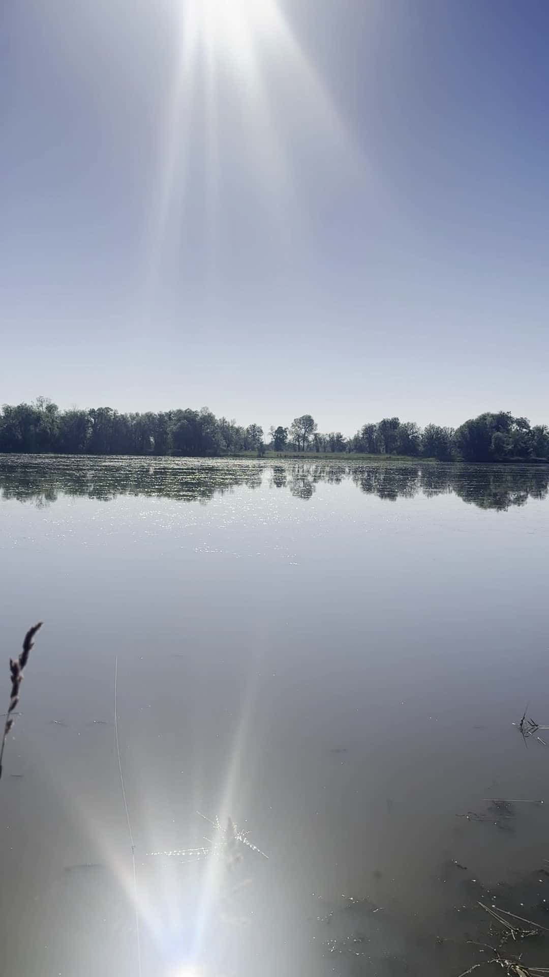 Cover for Fishing