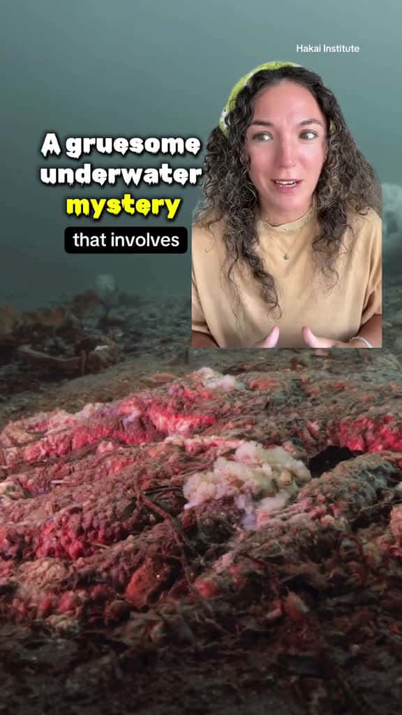 Cover for Lesions and arms falling off and walking away — these two gruesome symptoms are the impacts of a disease that has left billions of sea stars dead and stunned scientists for a decade. For years, nobody knew what was causing it, ...