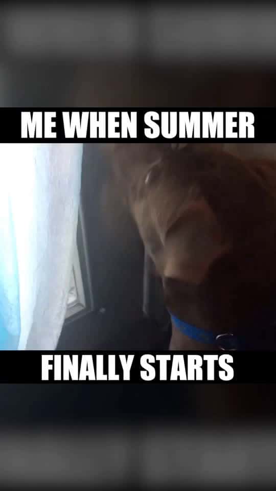Cover for Double tap if you re ready for summer 33120 #followMe