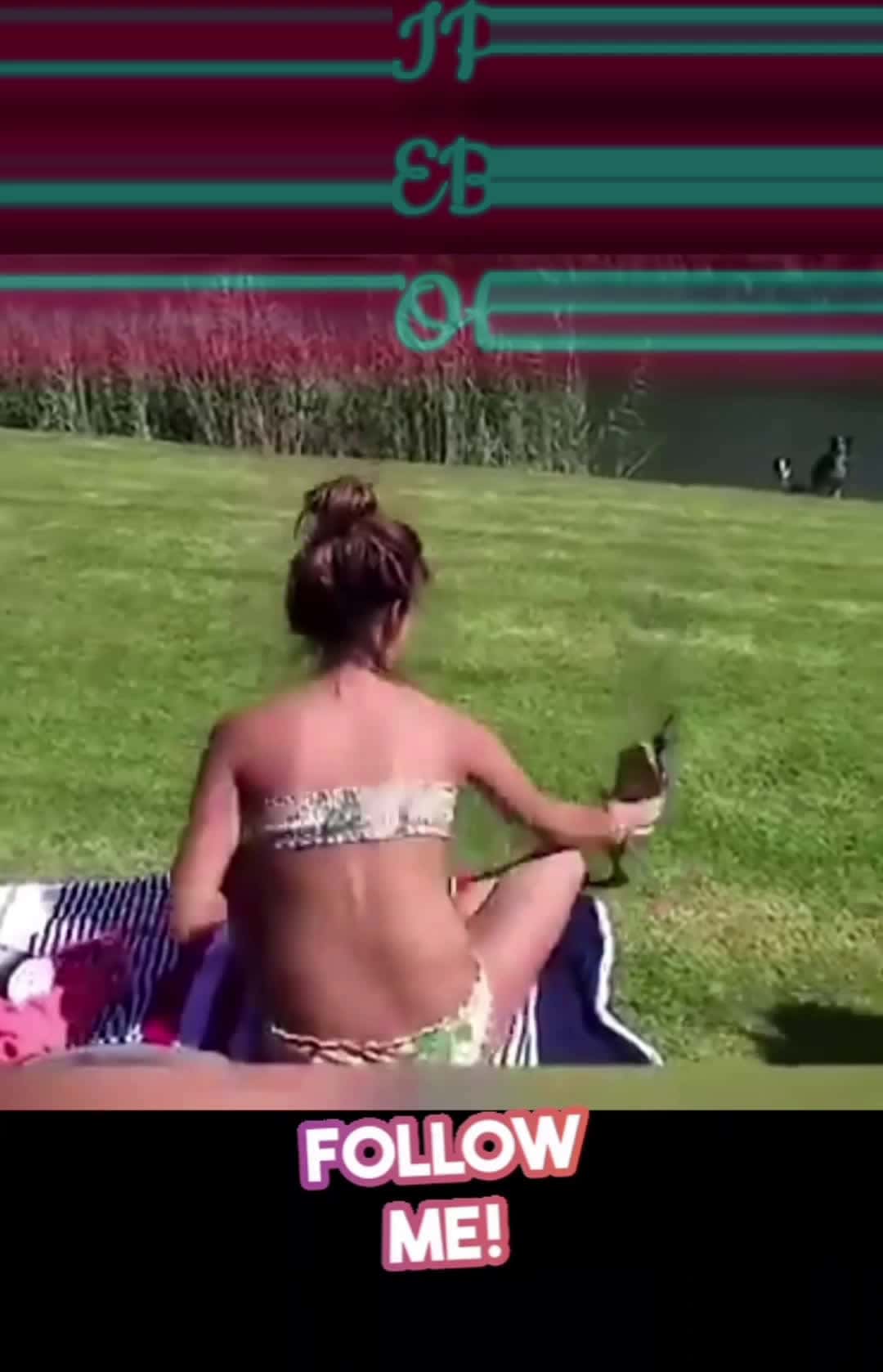 Cover for top 25 clips of the interwebs 