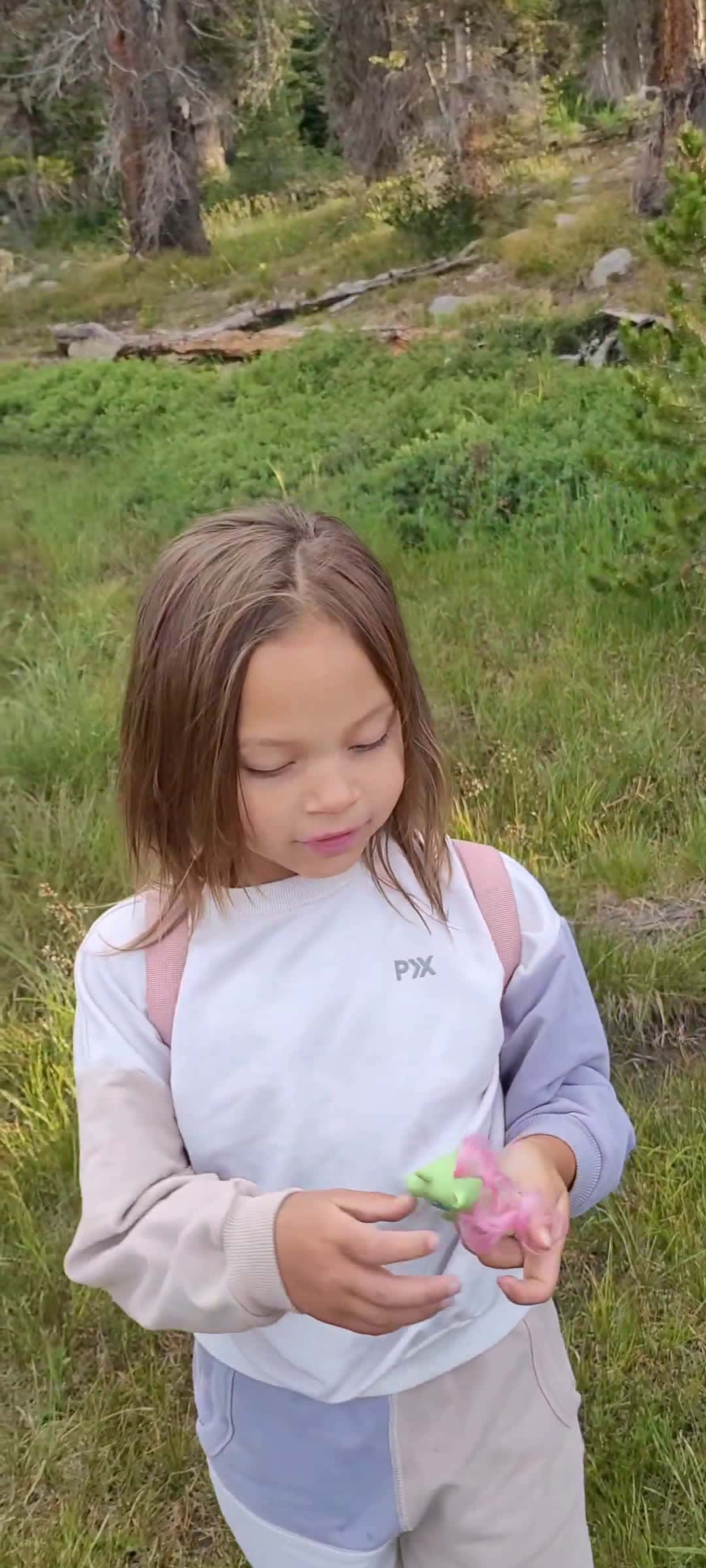 Cover for my granddaughter enjoying her newly found unicorn toy 😁  #outdoors  #unicorn  #toy  #granddaughter  #kids  #dogs  #hiking  #hikingadventures  #hikingwithdogs  #mountains 