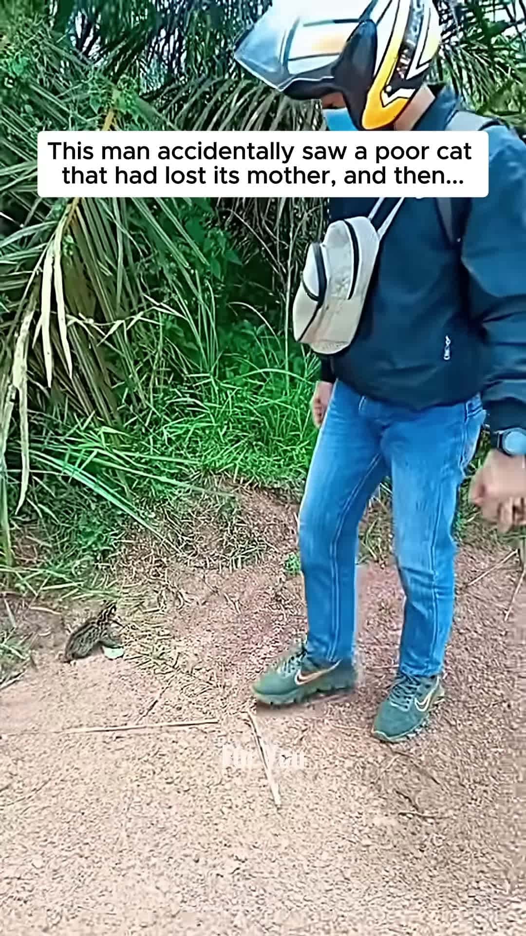 Cover for This man rescued a poor serval cat and then serval cat short