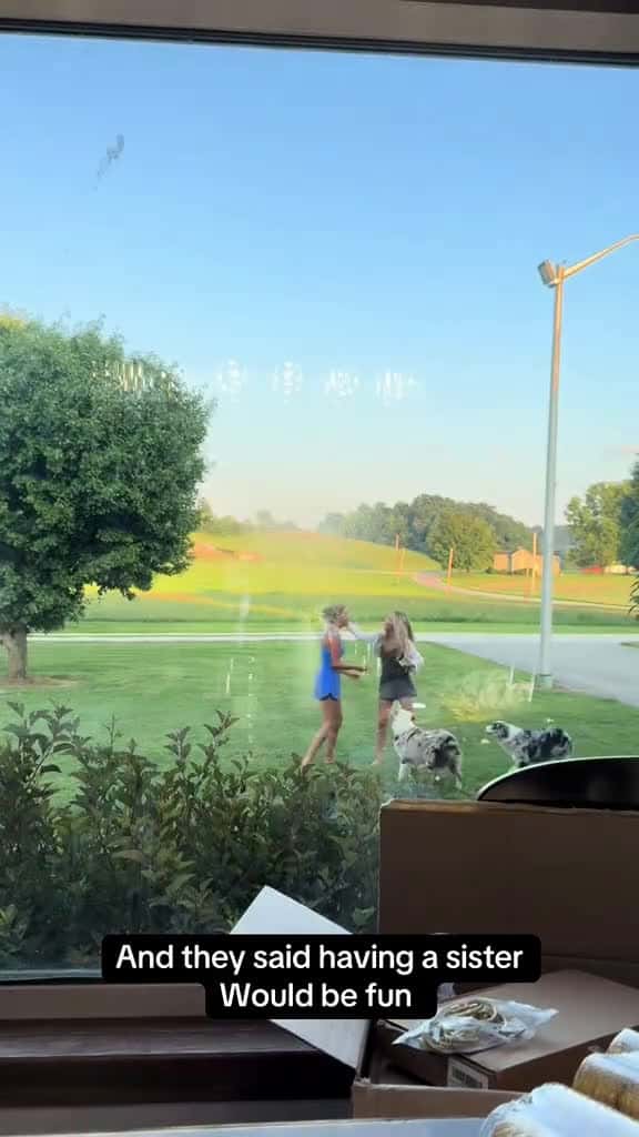 Cover for Can't tell if the dogs are playing or protecting can you?#UnpopularOpinion #CaughtOnCamera