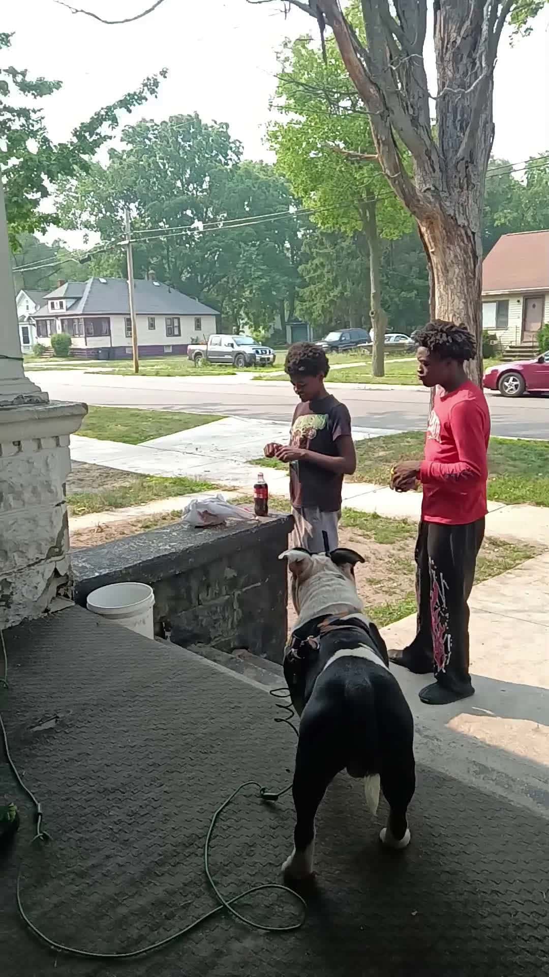 Cover for My grandson project 🤦😂