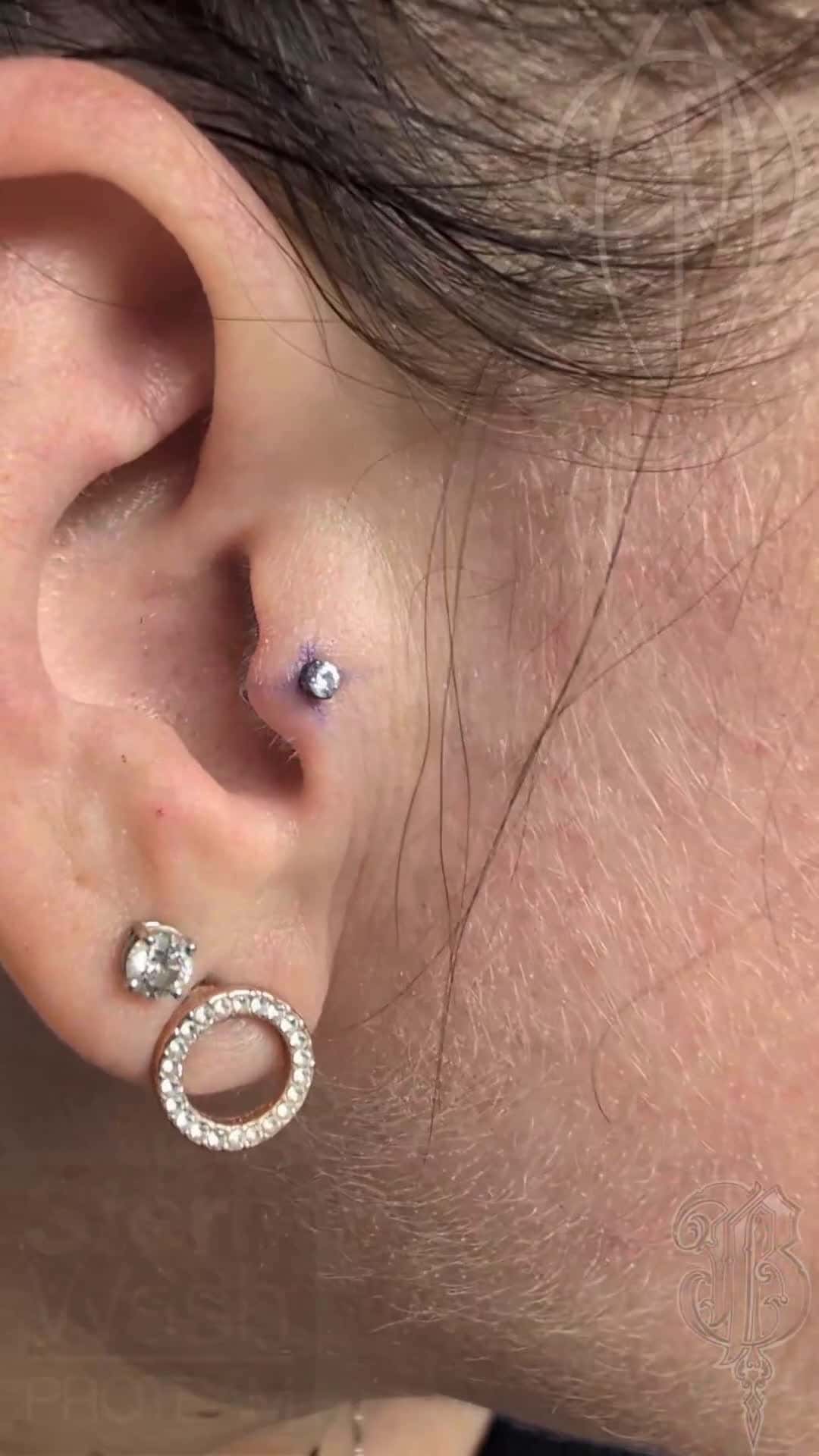 Cover for A tragus piercing from lately.@steriwash@blackwork_supply@blackworkgloves@phucstyxtattoosupply#traguspiercing #tragus #piercings #piercing #pierced #piercing2me #piercerdraculallc #bodypiercing #bodypiercings #bodyart 