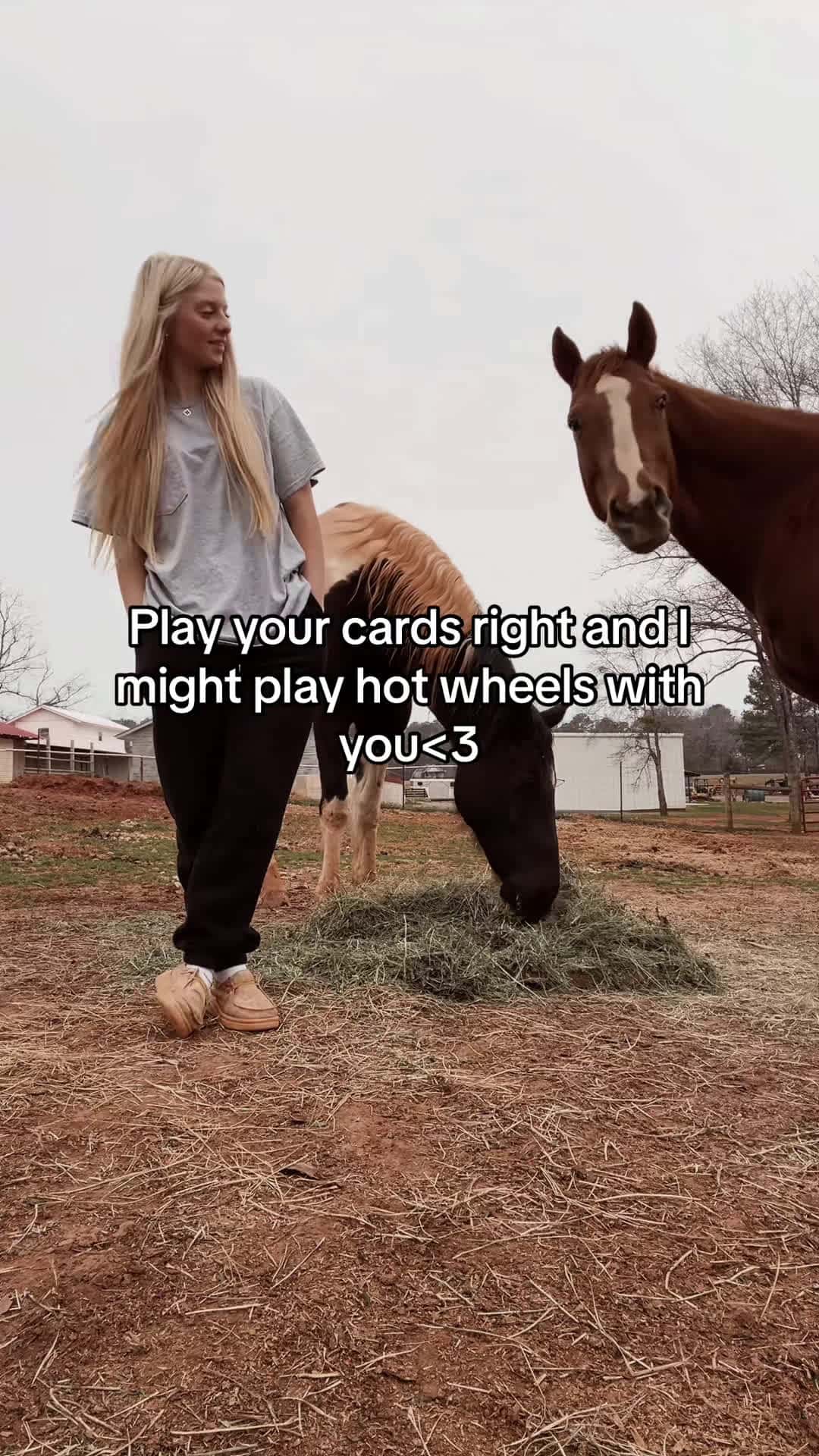 Cover for #fyp #foryou #forupage #equestrian #western #barrelracer #barrelhorse 