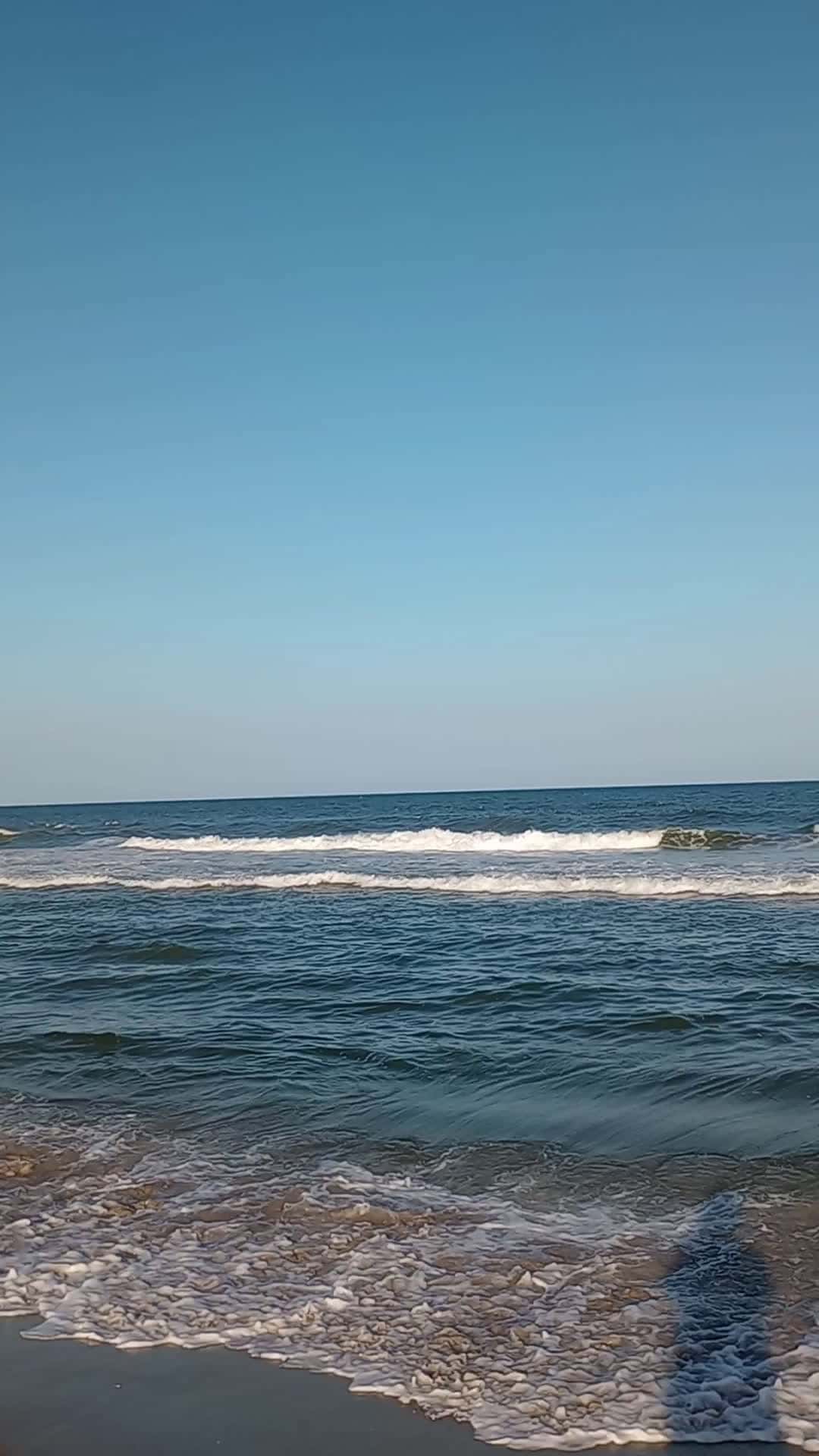 Cover for Ocean at Long Beach Island 