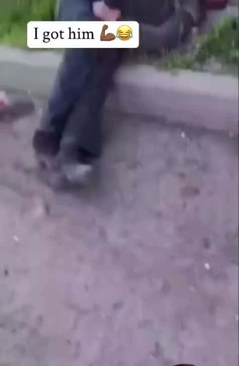 Cover for Dogs will have your back no matter what 👌🏾😤 #trending #entertainment #funny #viral #scoopz #fyp 