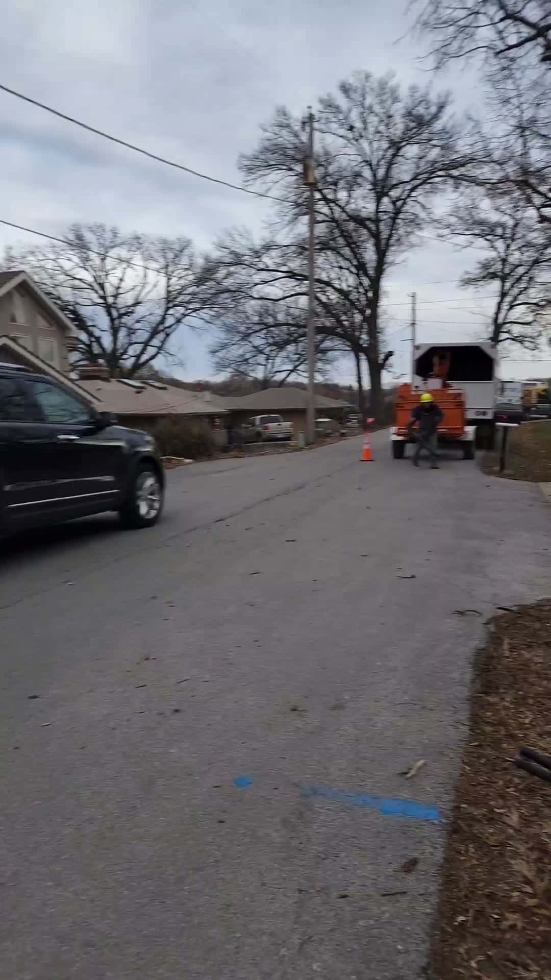 Cover for "Tree trouble in KC? Family Tree Service to the rescue! 🌳💪 #treeremoval #kansascity #treeservice"