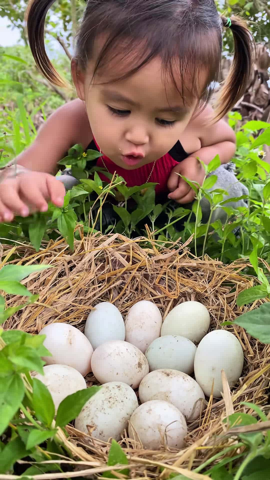 Cover for Survival Skills: SMART idea and USEFUL with Egg in forest #tiktok #bushcraft #camping #outdoors #survival
